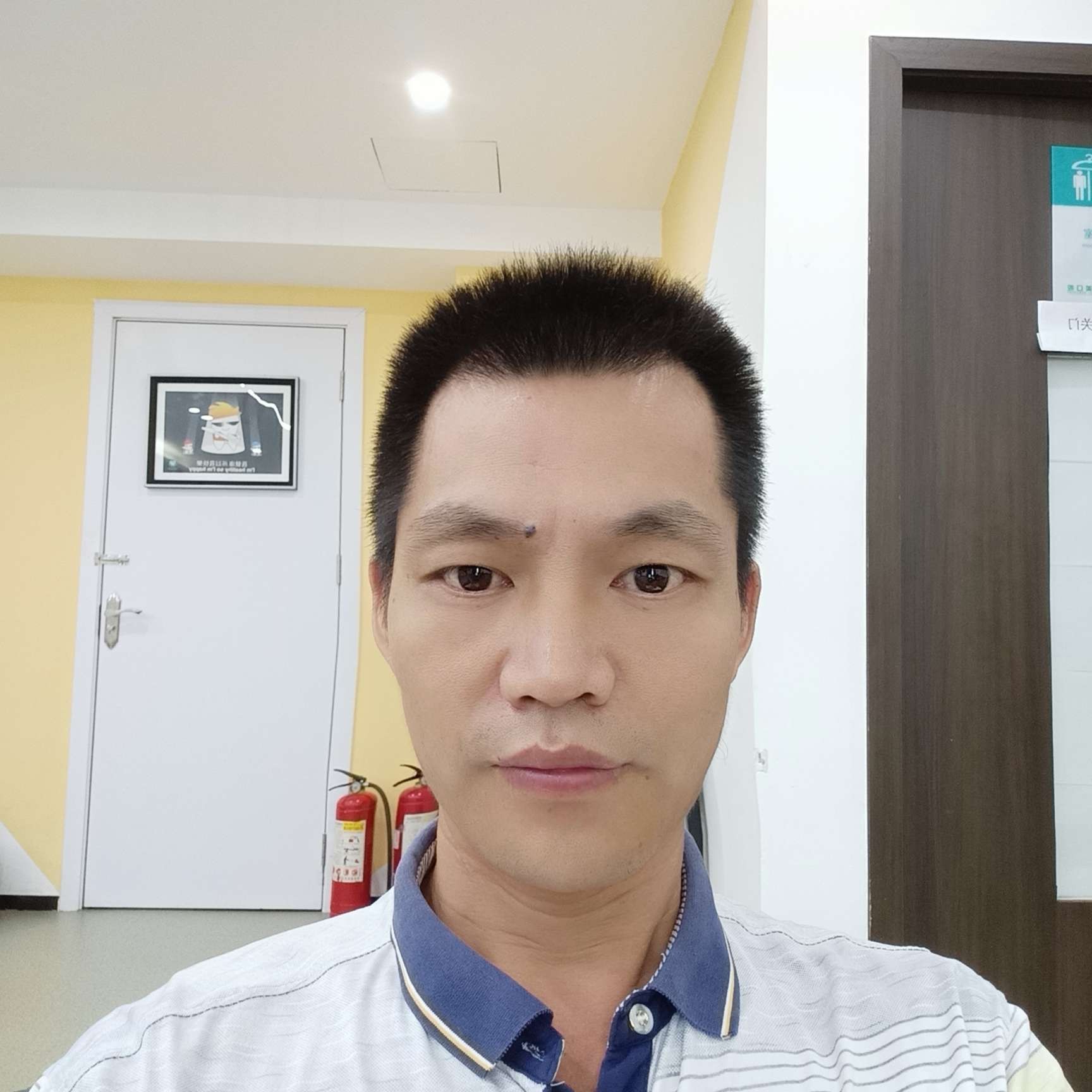 冰的眼睛的照片