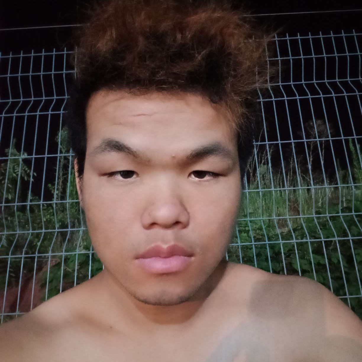 柠檬相许敏感的照片