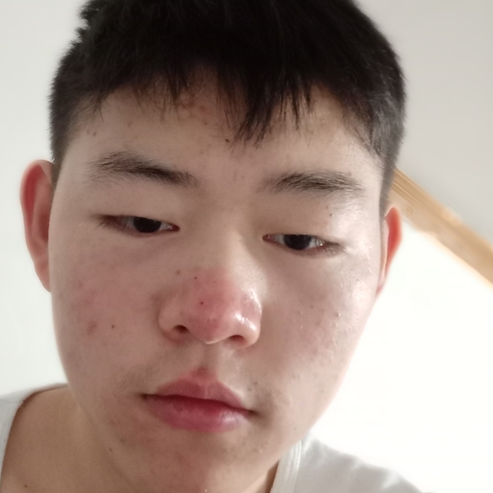 斑马妩媚的照片
