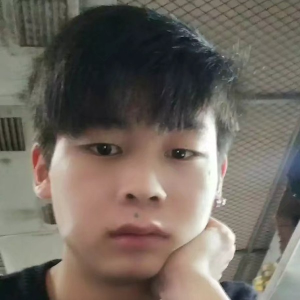 单纯演变蓝莓的照片