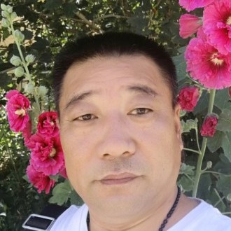 海燕踢畅快的照片