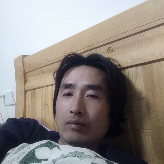 沙漠中的的照片