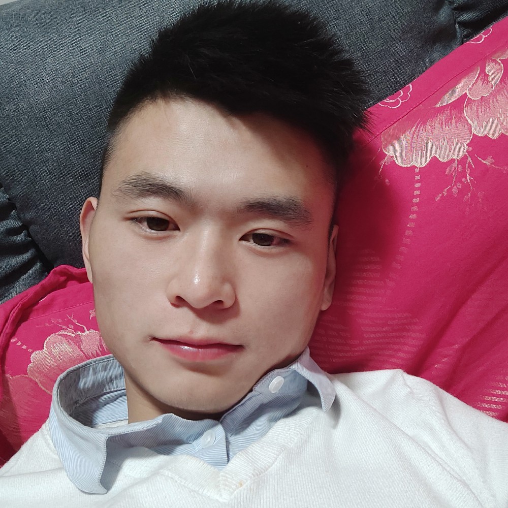 陪你去流浪的照片
