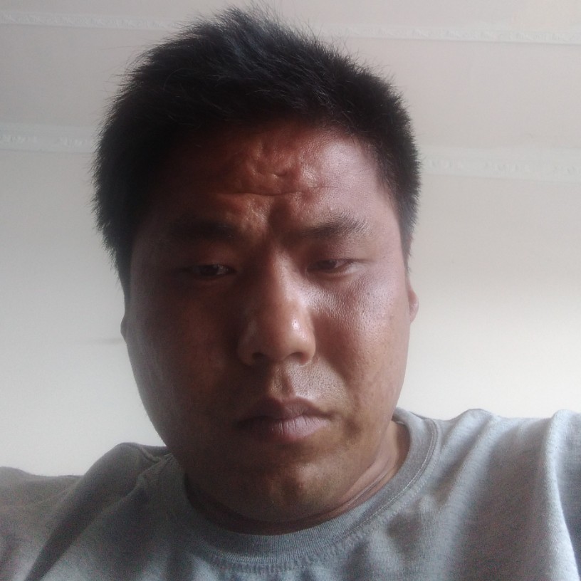 跳跃还橘子的照片
