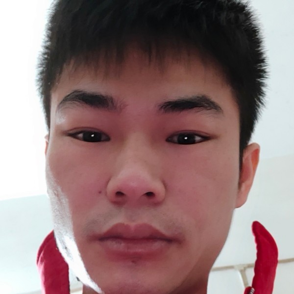 为你搬砖的猪的照片