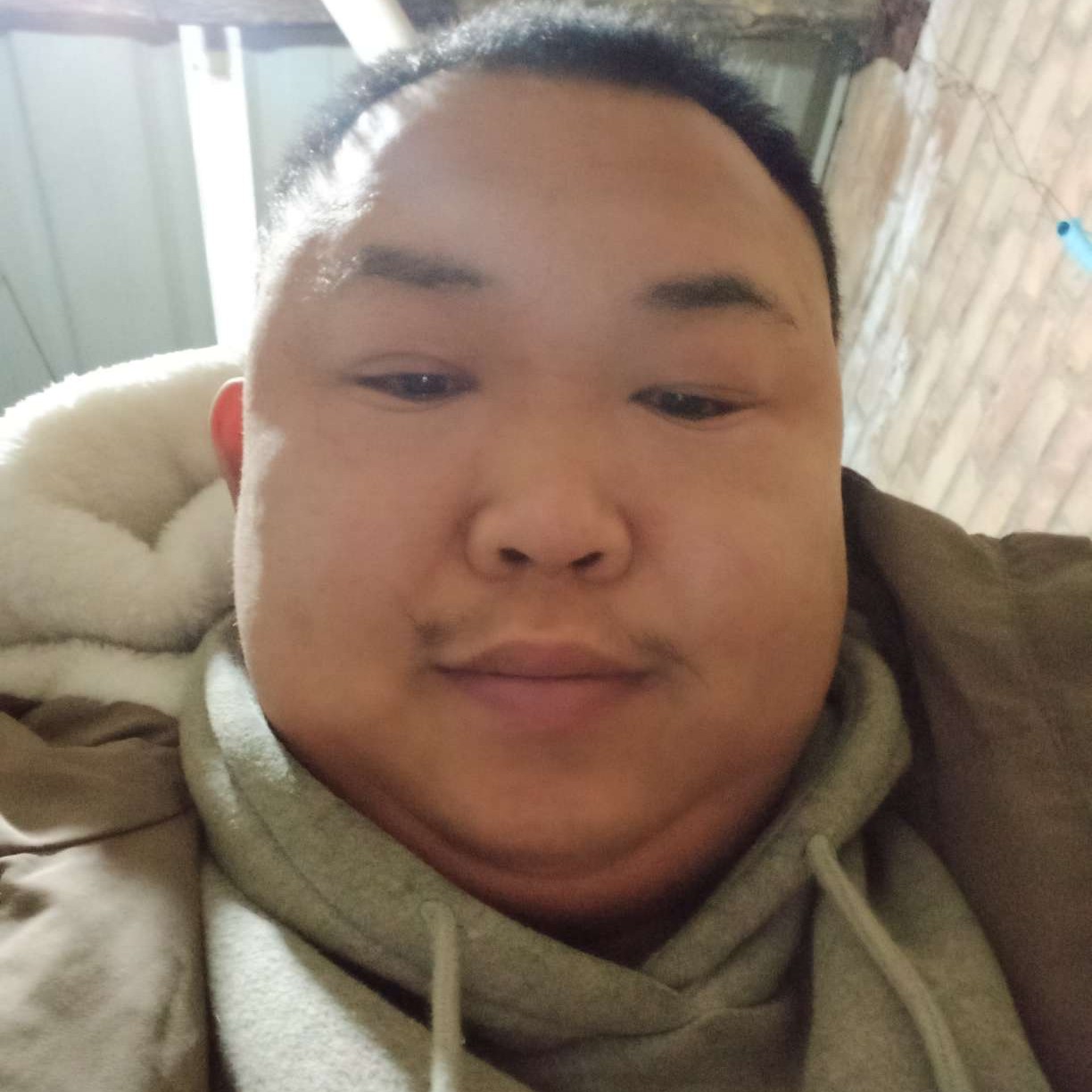 竹影倾的照片