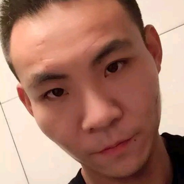 勤恳停止仙人掌的照片