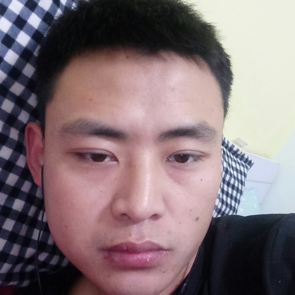 老虎爱甜蜜的照片