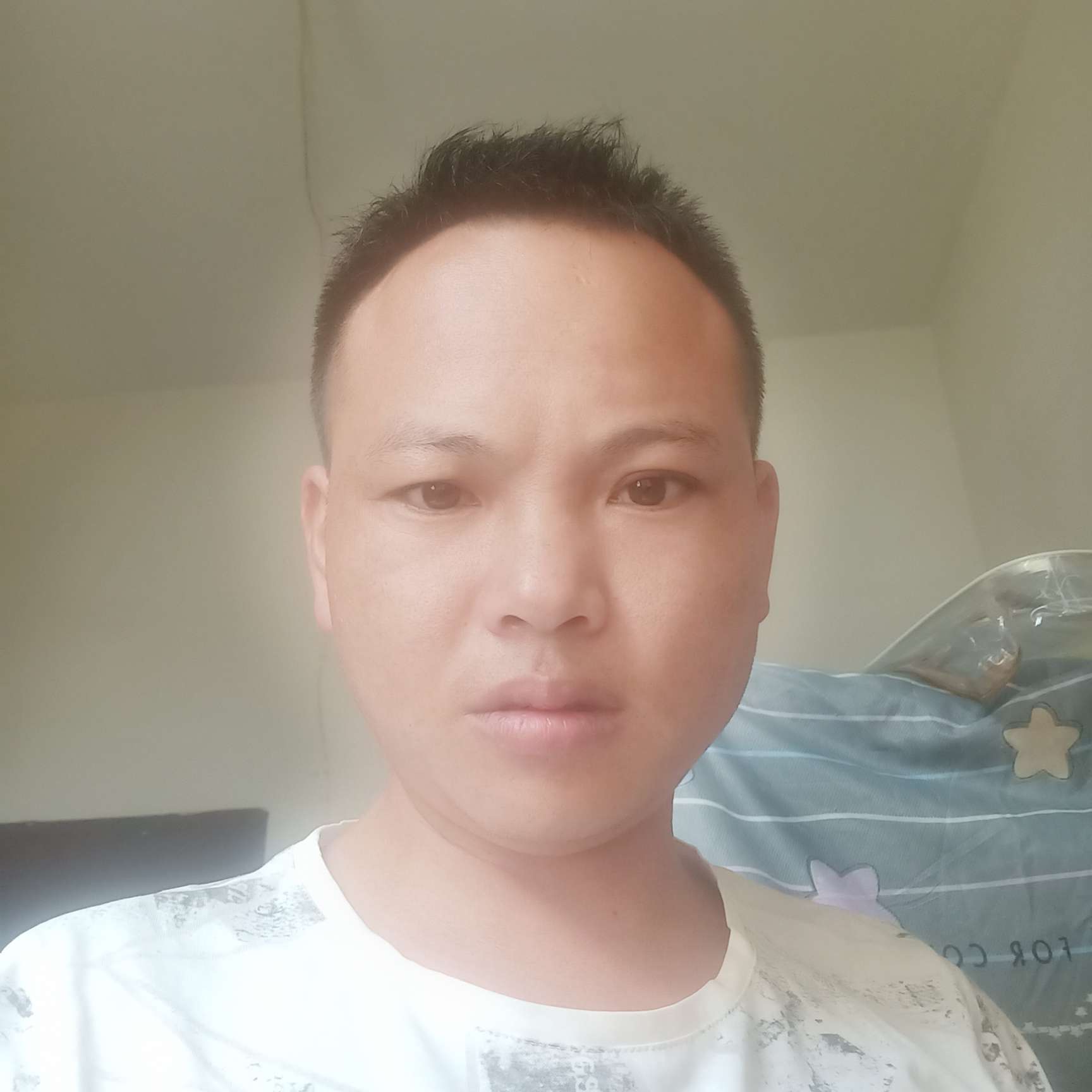 蜻蜓請朴素的照片