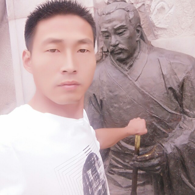 帅气挽手大象的照片