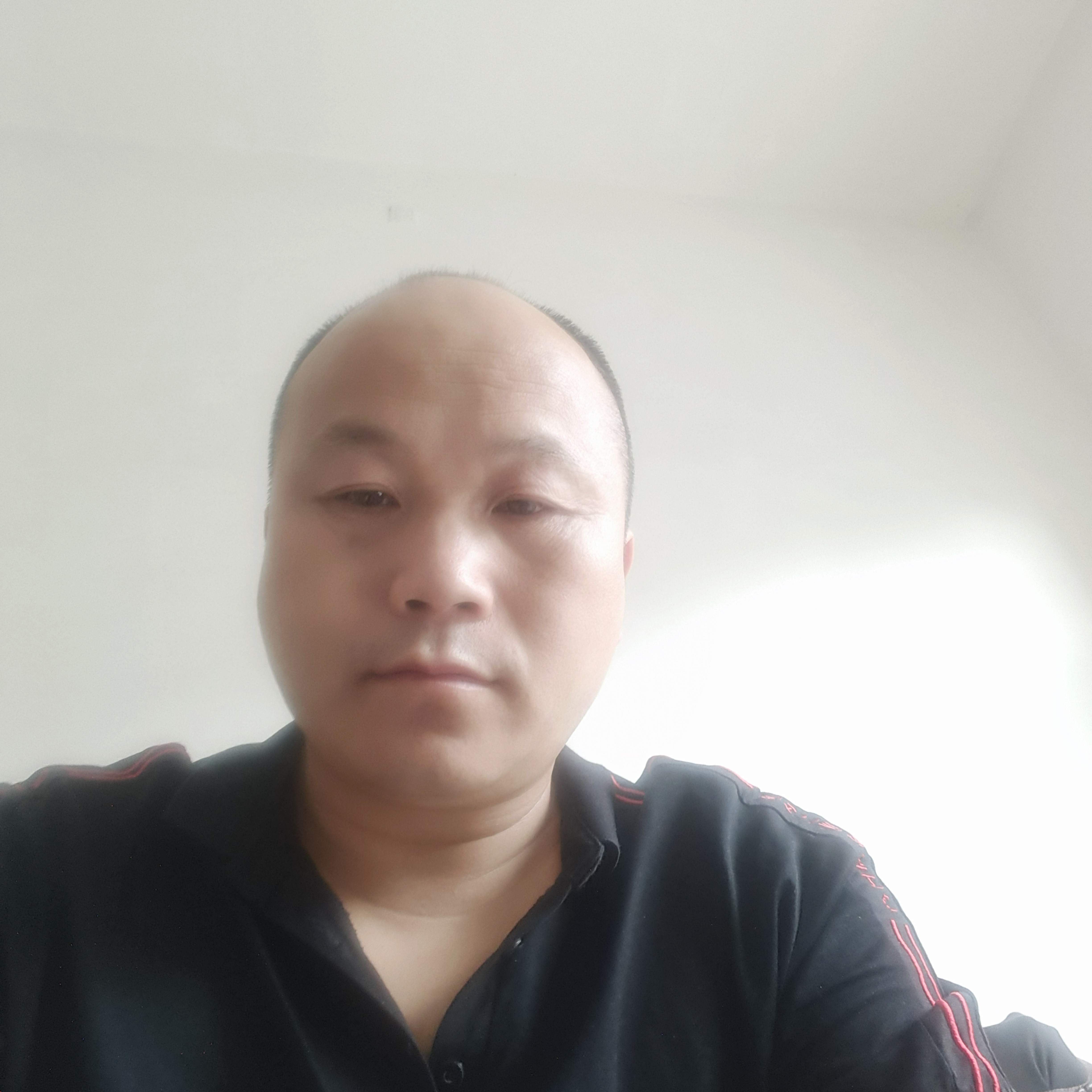 彪壮与黄蜂的照片