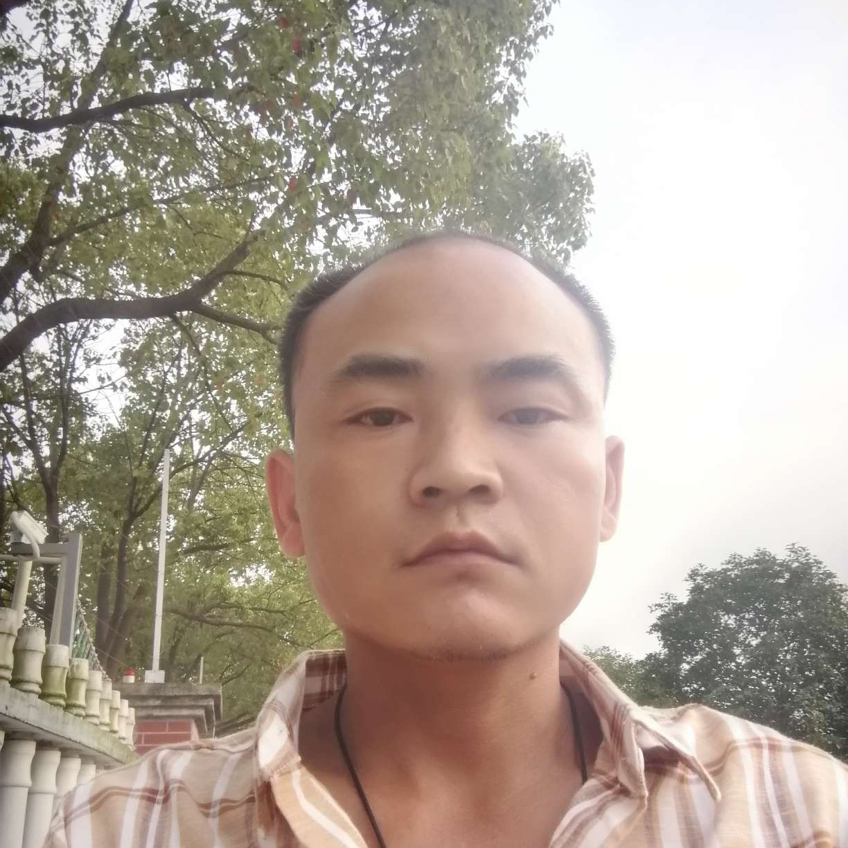 会员837449311的照片