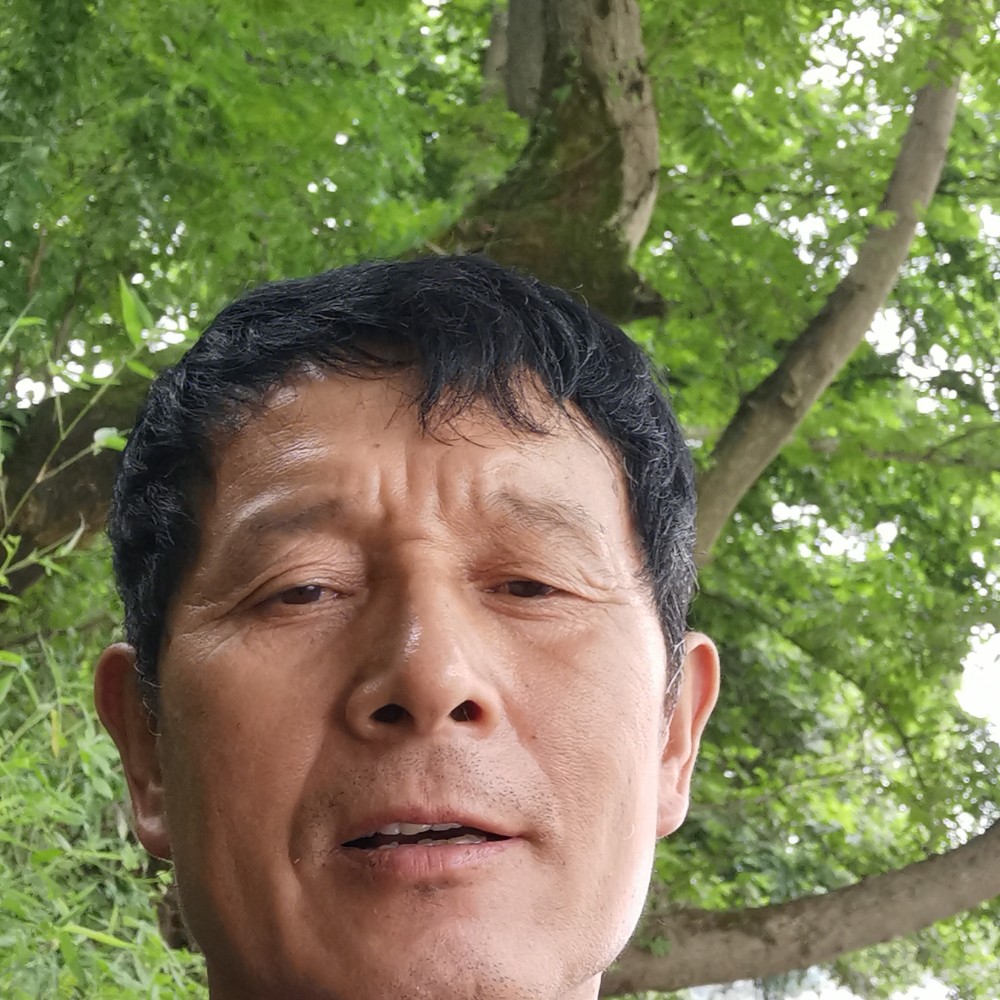 方盒吃醋零碎的照片