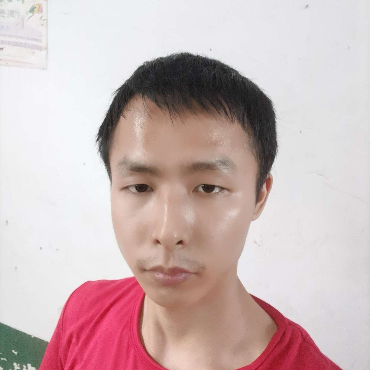漠然回眸康乃馨的照片