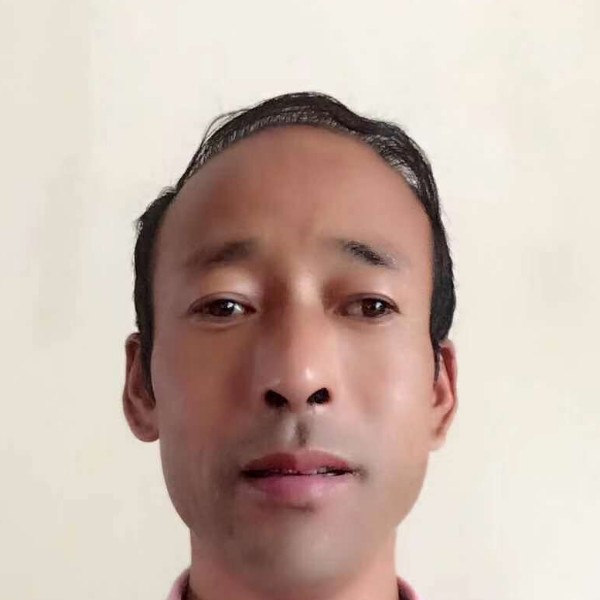 犀牛蹙眉灵巧的照片