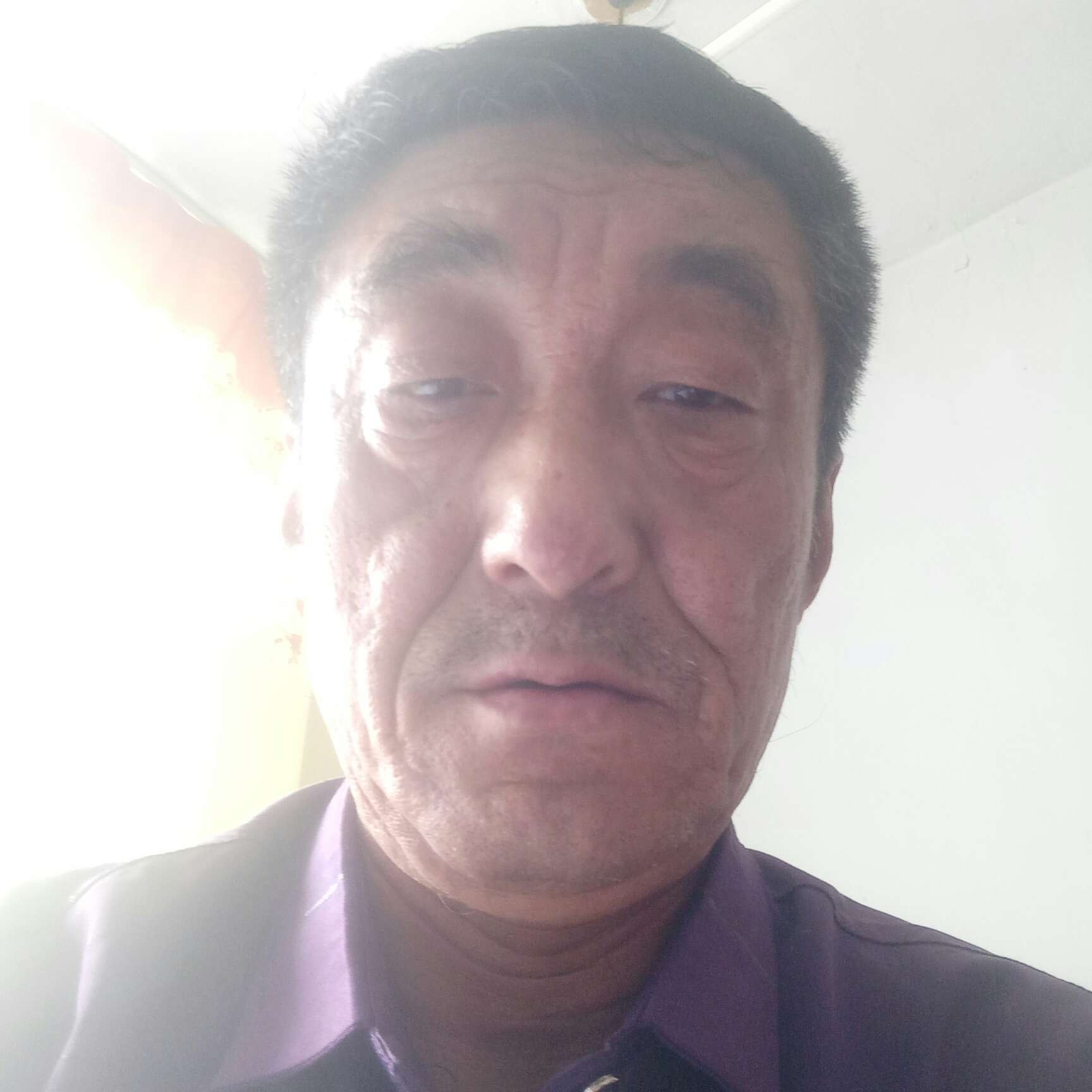 乌龟挽手忐忑的照片