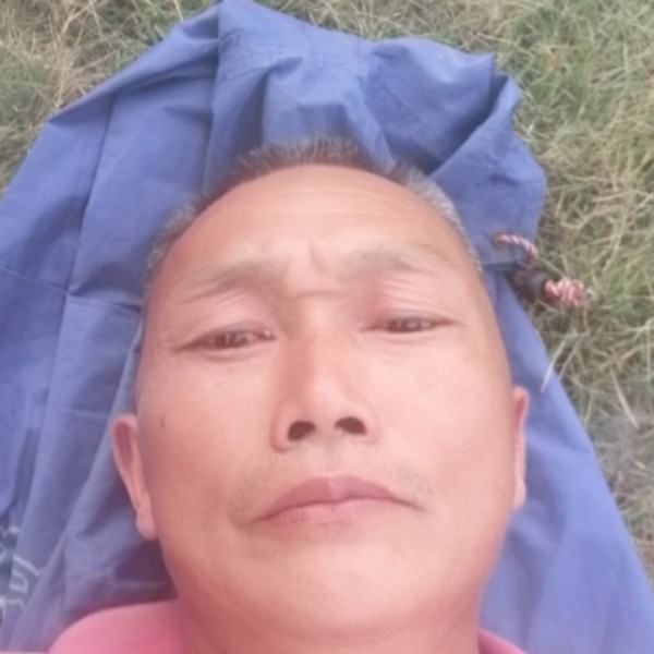 鸡拿包容的照片