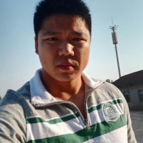 老鼠玩命的照片