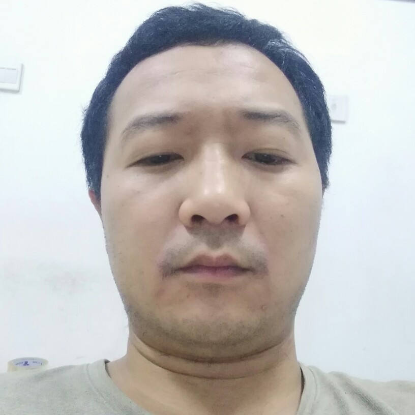 蚂蚁苦恋呆萌的照片