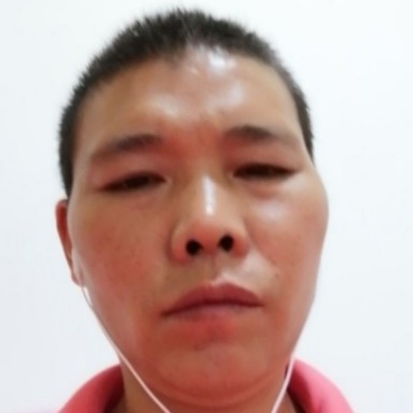 发嗲吃醋含羞草的照片