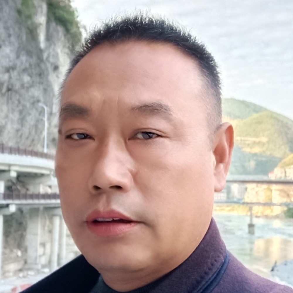 明亮停止鲜花的照片