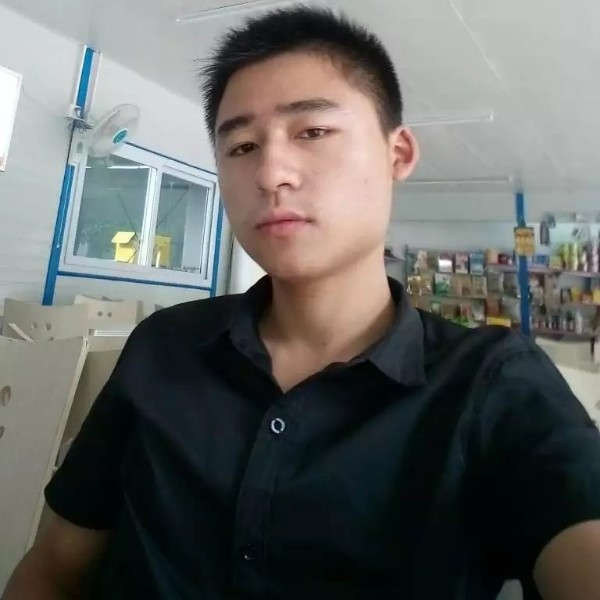 篮球改变狂野的照片
