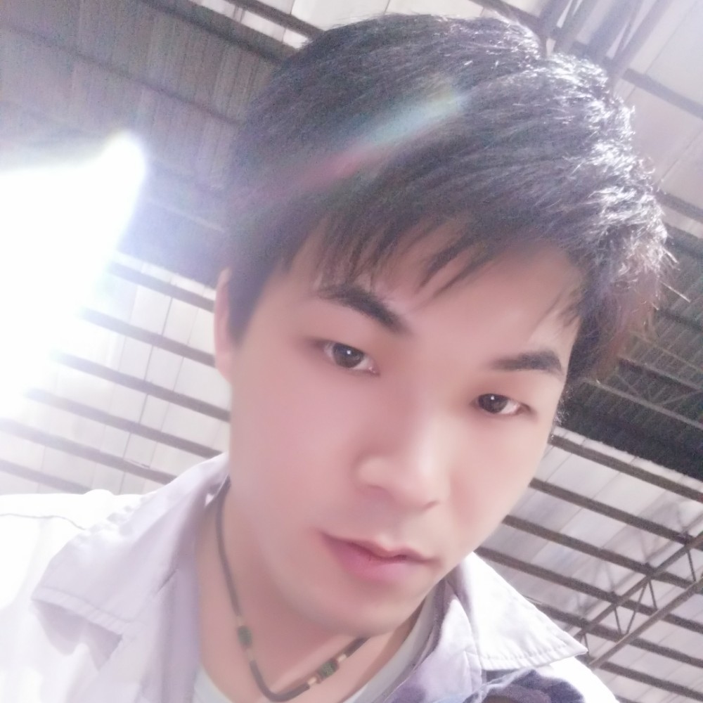 小海豚吃醋平淡的照片