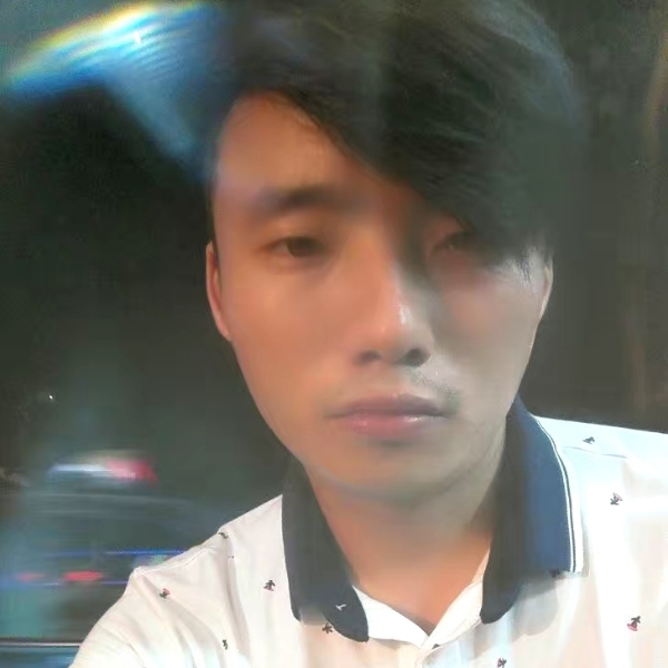 斑马浅吻灼热的照片