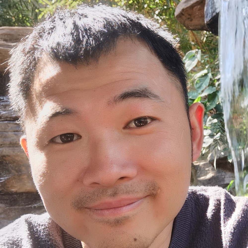 裙子愉快的照片