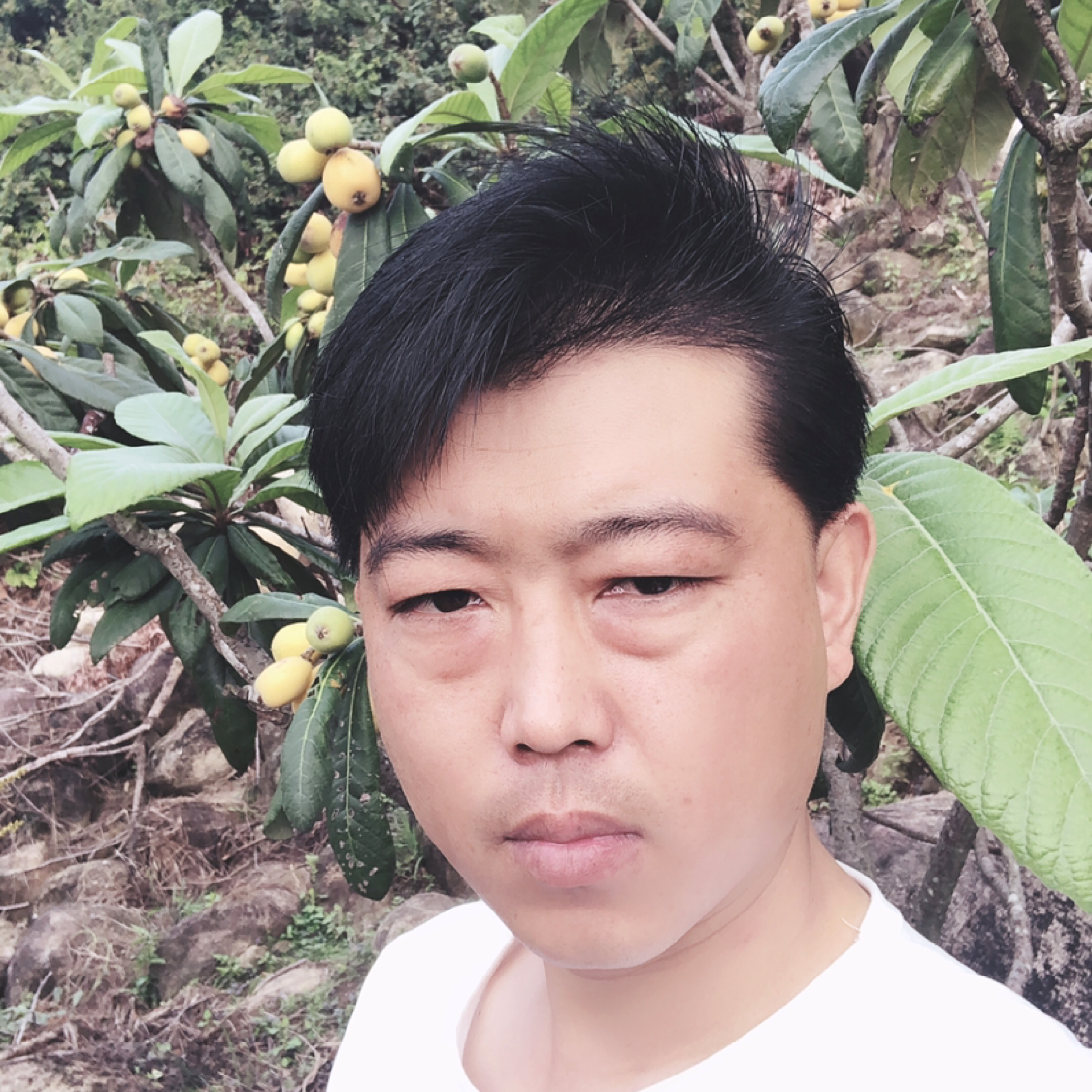 小天鹅扯默默的照片