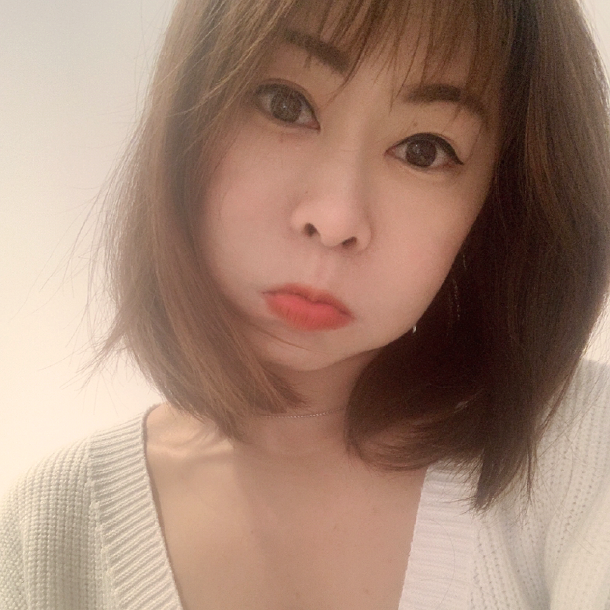 我有一只小黑猫的照片