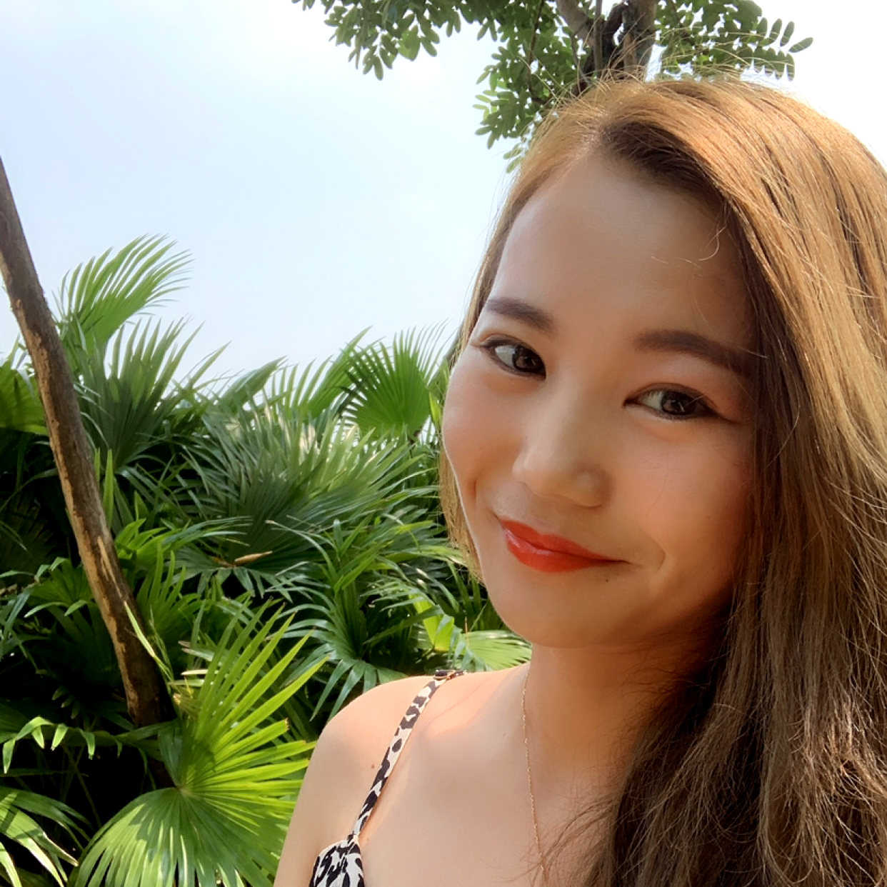 动人爱鸭子的照片