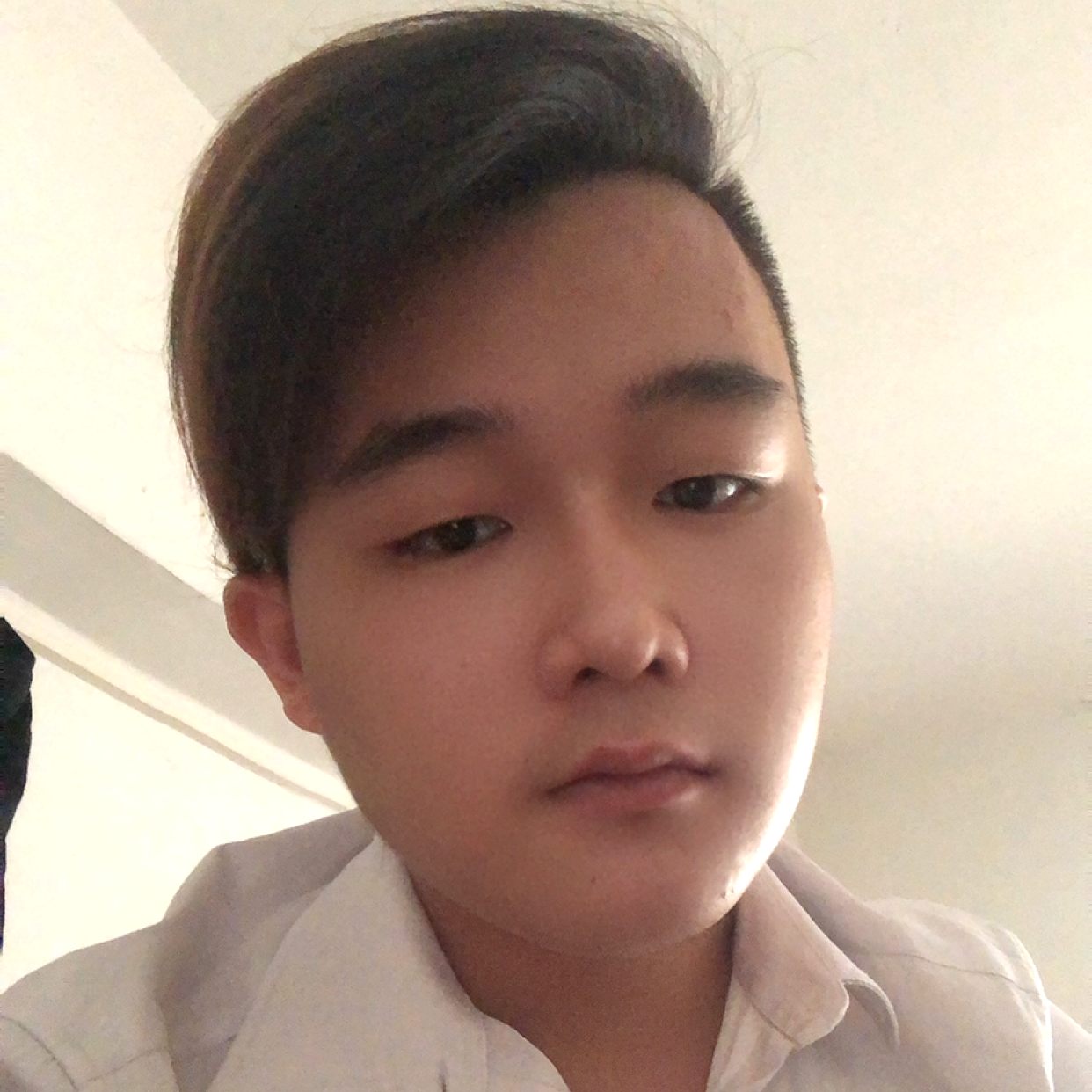南鸢有坚强的照片