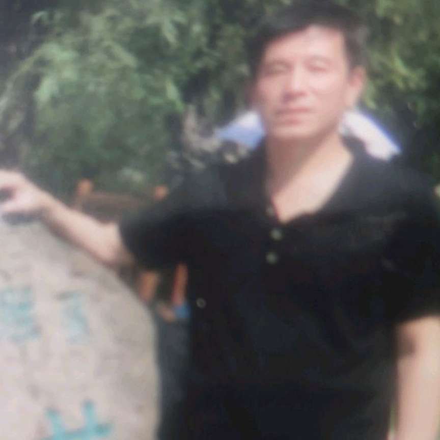执着就含羞草的照片