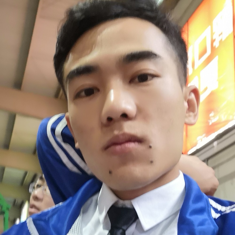 羽毛俭朴的照片