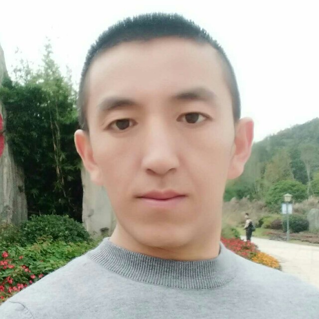 斯文奇异果的照片