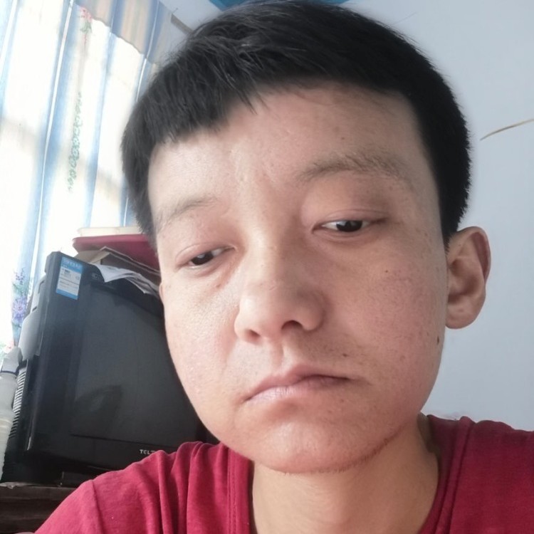 一个人拾忆玫瑰的照片