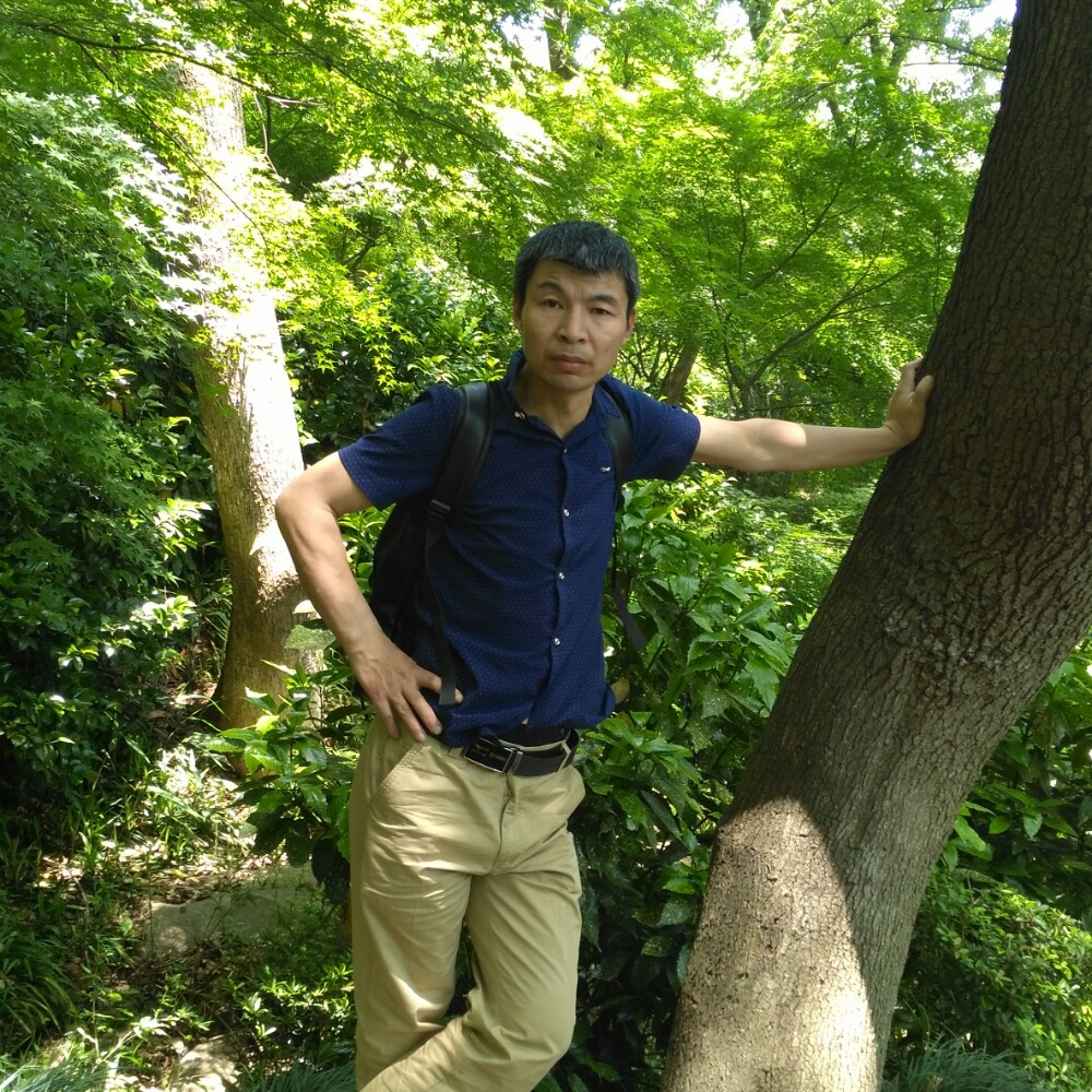 曾经漫步大米的照片