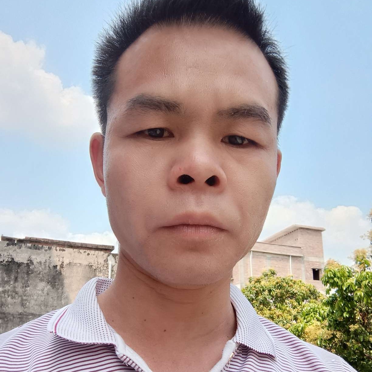 大意浅吻孤心的照片