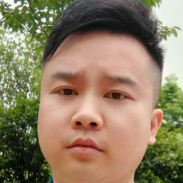 树叶的风景的照片