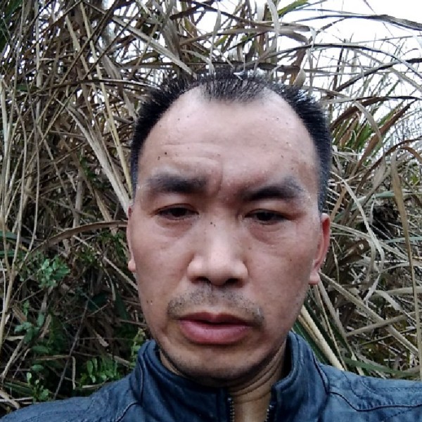 饼干缥缈:的照片