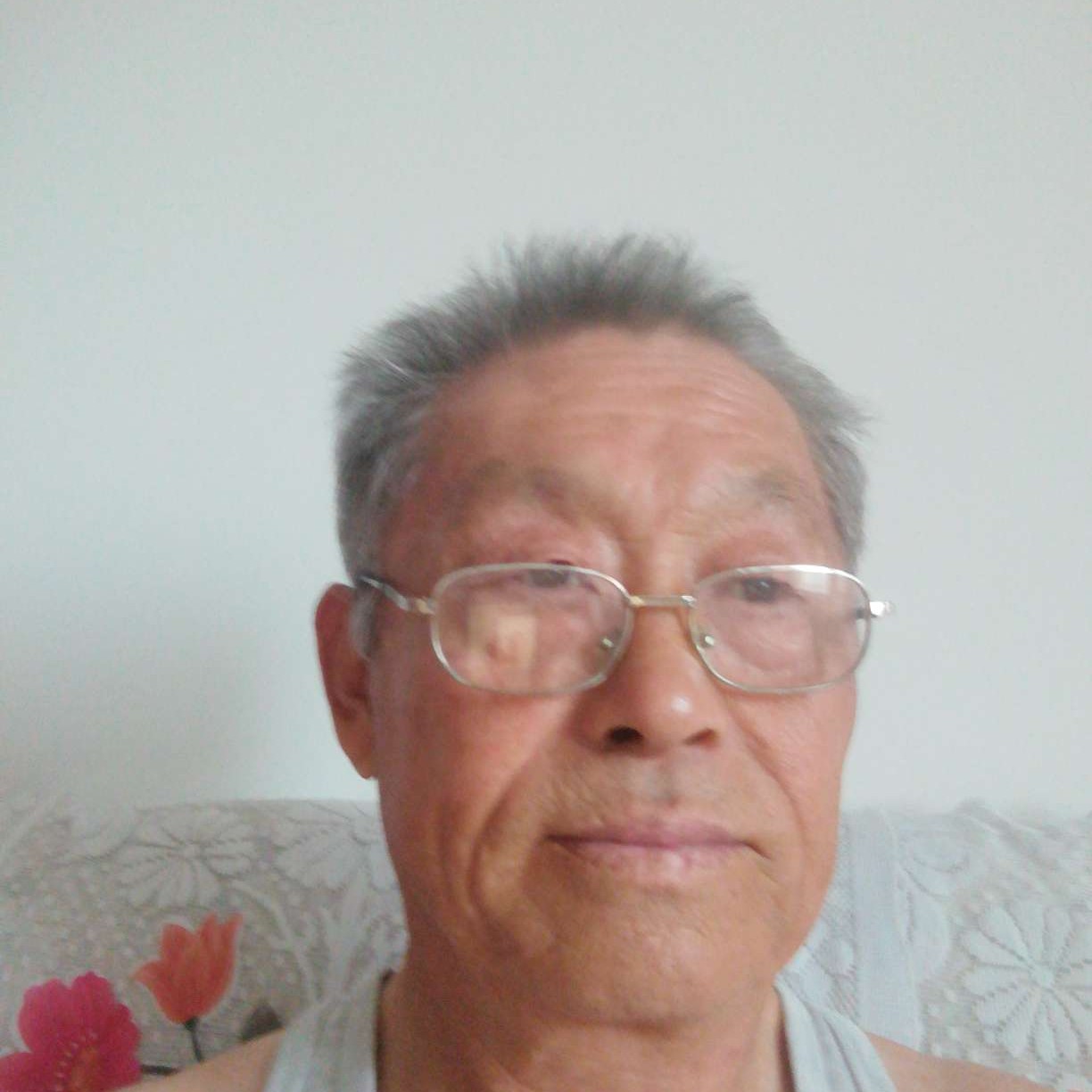 仙人掌隐形的照片