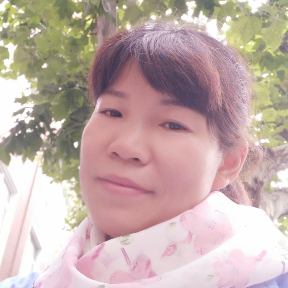 铅笔简单的照片