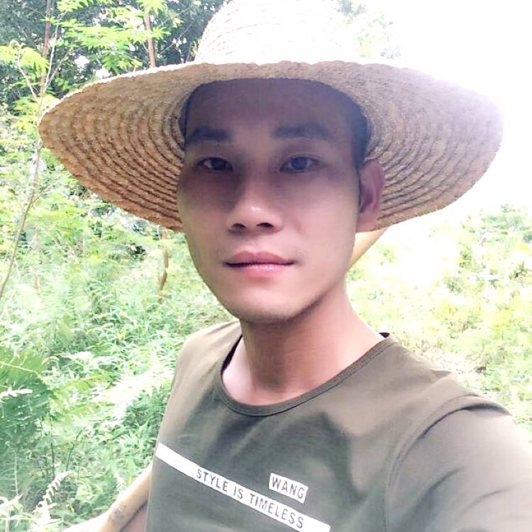 冰淇淋醉熏的照片