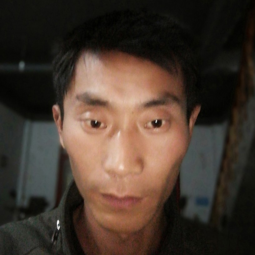 沉静黄豆的照片