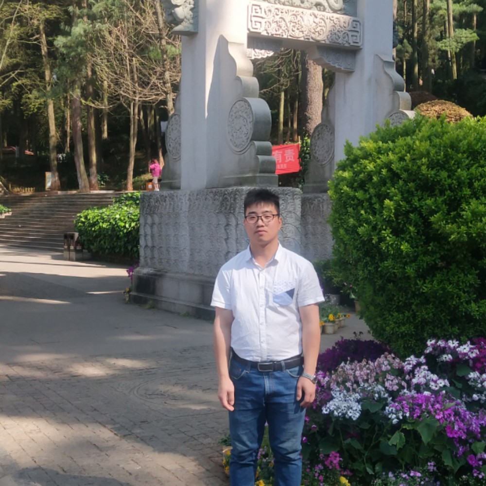 黄蜂寂寞的照片