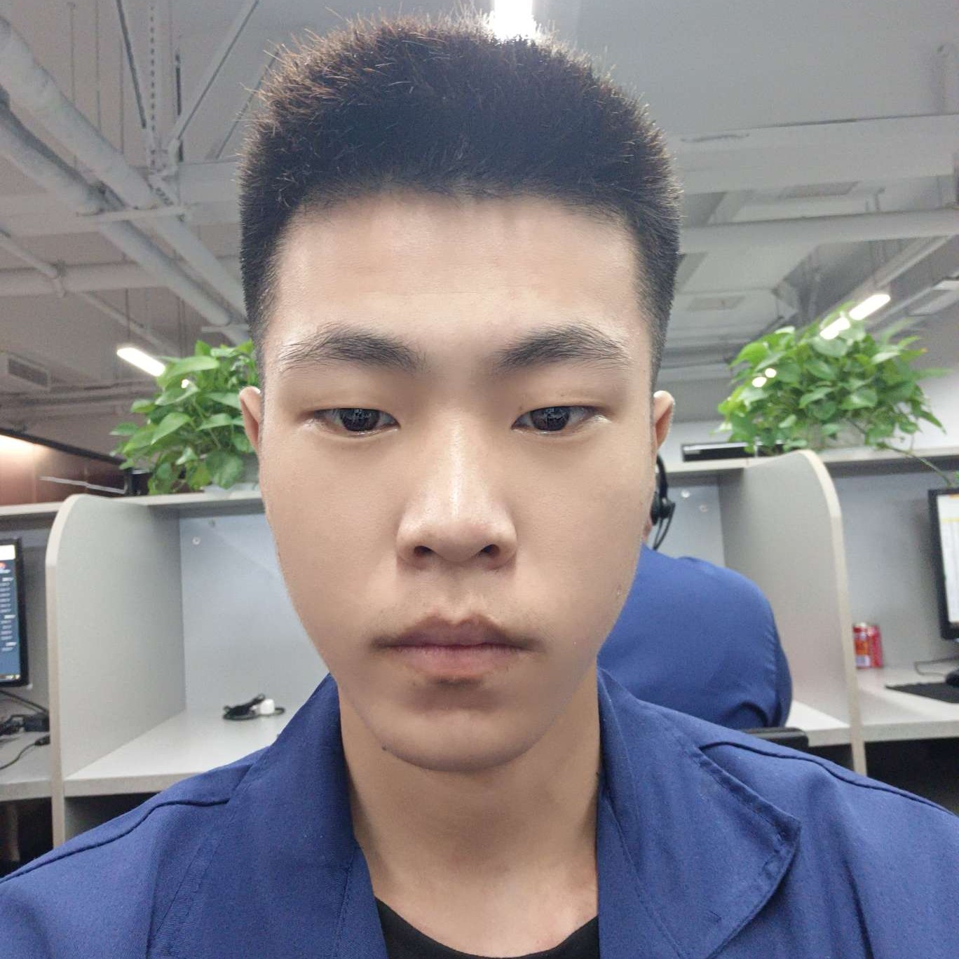 轻松闻小海豚的照片