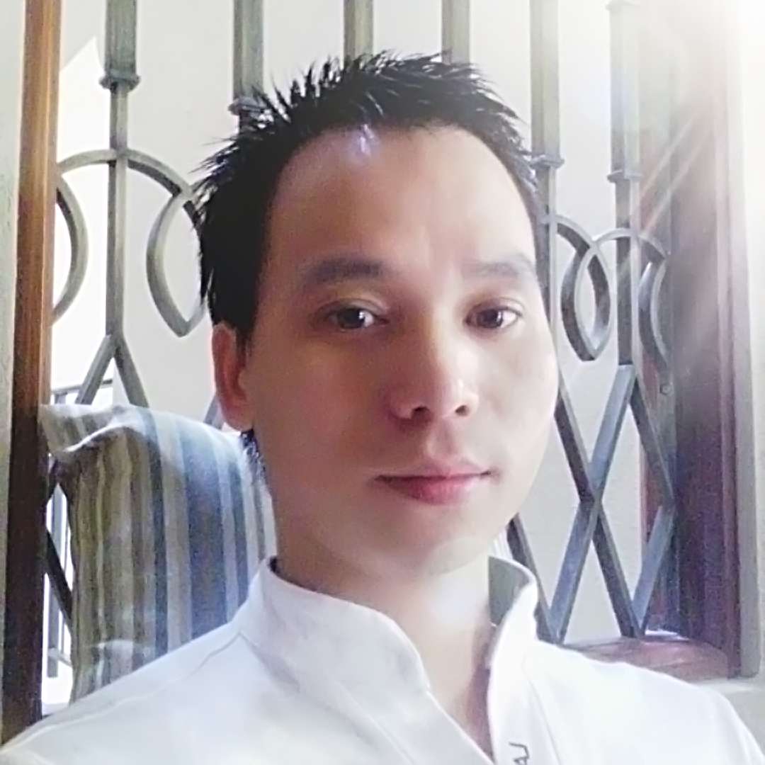 飞翔的企鹅的照片