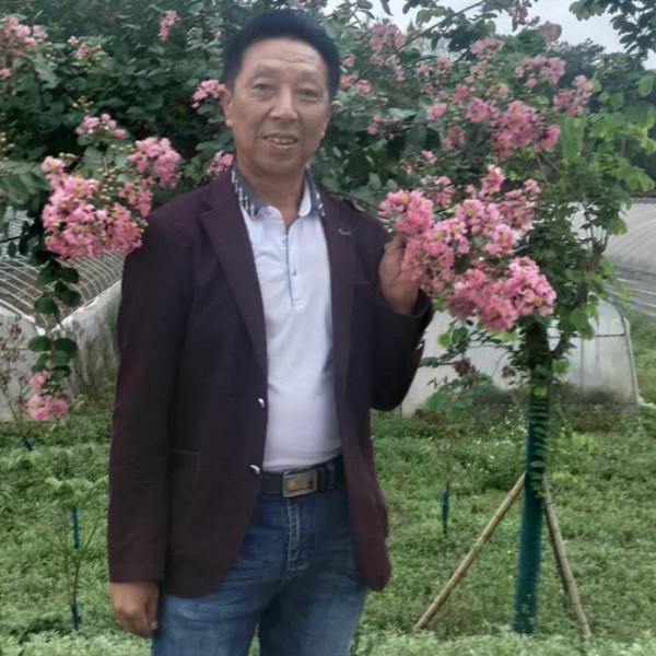 青春永不倒的照片