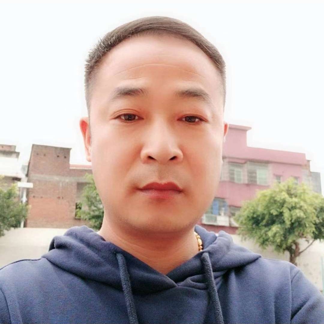 光亮保卫大雁的照片